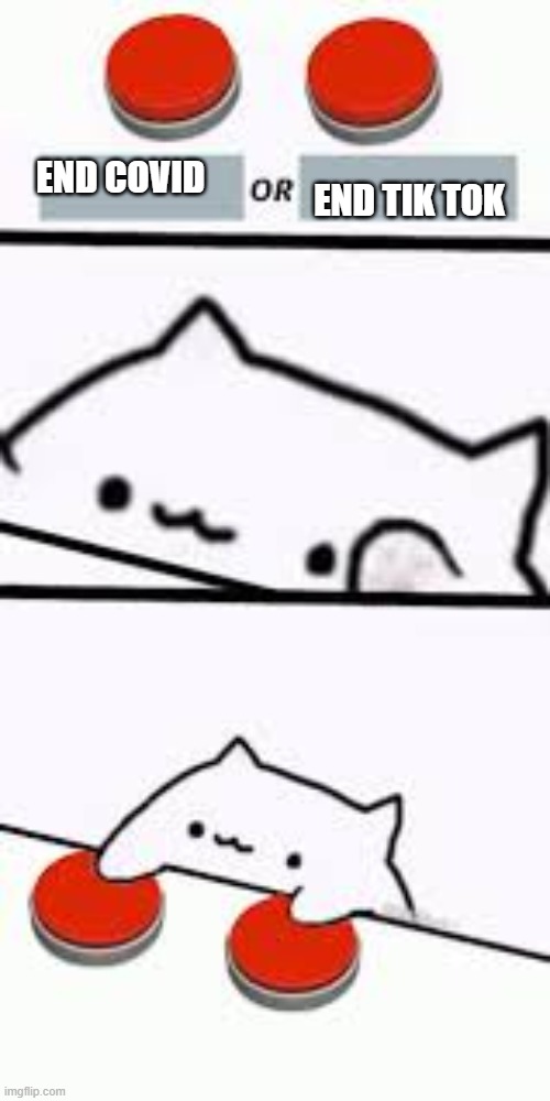 both | END TIK TOK; END COVID | image tagged in bongo cat--this or that | made w/ Imgflip meme maker