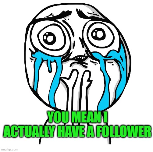 Tears of Joy | YOU MEAN I ACTUALLY HAVE A FOLLOWER | image tagged in tears of joy | made w/ Imgflip meme maker