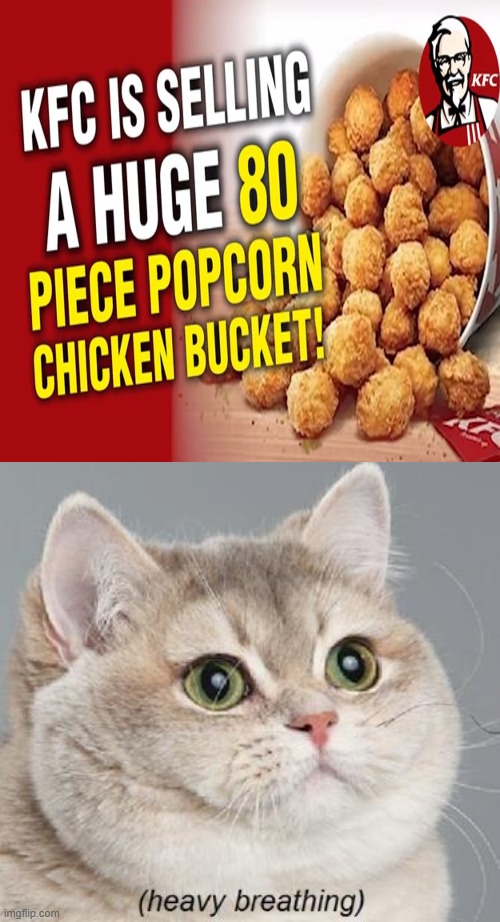 Oh hell yea | image tagged in memes,heavy breathing cat | made w/ Imgflip meme maker