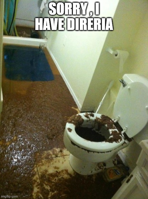 poop |  SORRY , I HAVE DIRERIA | image tagged in poop | made w/ Imgflip meme maker