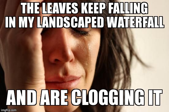 First World Problems Meme | THE LEAVES KEEP FALLING IN MY LANDSCAPED WATERFALL AND ARE CLOGGING IT | image tagged in memes,first world problems | made w/ Imgflip meme maker