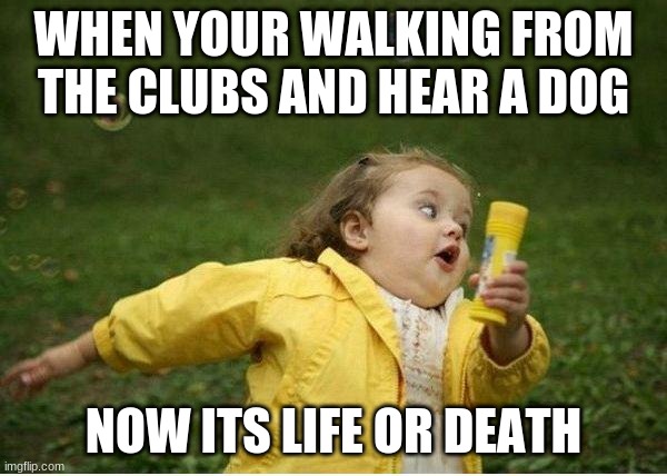 After clubs | WHEN YOUR WALKING FROM THE CLUBS AND HEAR A DOG; NOW ITS LIFE OR DEATH | image tagged in memes,chubby bubbles girl | made w/ Imgflip meme maker