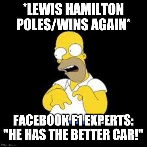 Look Marge | *LEWIS HAMILTON POLES/WINS AGAIN*; FACEBOOK F1 EXPERTS: "HE HAS THE BETTER CAR!" | image tagged in look marge | made w/ Imgflip meme maker