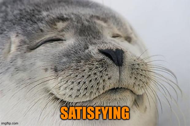 Satisfied Seal Meme | SATISFYING | image tagged in memes,satisfied seal | made w/ Imgflip meme maker