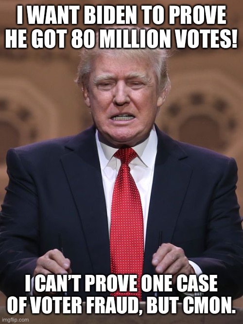 Donald Trump | I WANT BIDEN TO PROVE HE GOT 80 MILLION VOTES! I CAN’T PROVE ONE CASE OF VOTER FRAUD, BUT CMON. | image tagged in donald trump | made w/ Imgflip meme maker