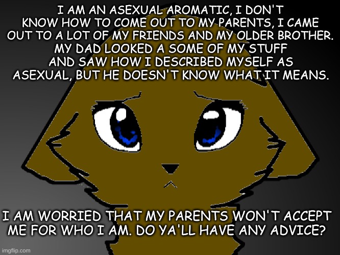 I need advice... | I AM AN ASEXUAL AROMATIC, I DON'T KNOW HOW TO COME OUT TO MY PARENTS, I CAME OUT TO A LOT OF MY FRIENDS AND MY OLDER BROTHER. MY DAD LOOKED A SOME OF MY STUFF AND SAW HOW I DESCRIBED MYSELF AS ASEXUAL, BUT HE DOESN'T KNOW WHAT IT MEANS. I AM WORRIED THAT MY PARENTS WON'T ACCEPT ME FOR WHO I AM. DO YA'LL HAVE ANY ADVICE? | image tagged in lgbtq,help,asexual | made w/ Imgflip meme maker