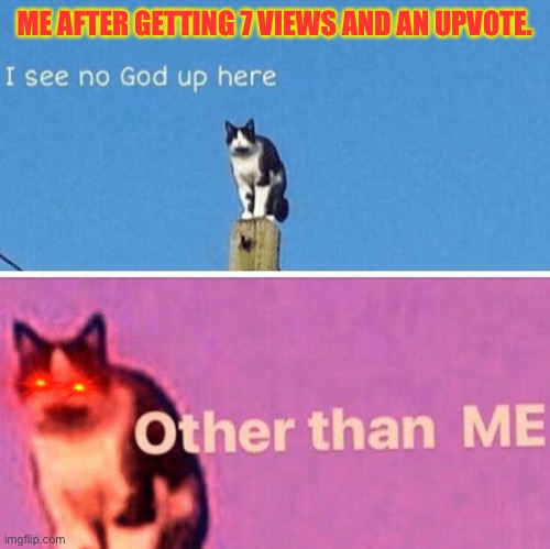 EEEEEEEEEE! It was my first post and it wasn’t meant to be a meme | ME AFTER GETTING 7 VIEWS AND AN UPVOTE. | image tagged in hail pole cat,memes,funny memes,funny cats,cats | made w/ Imgflip meme maker