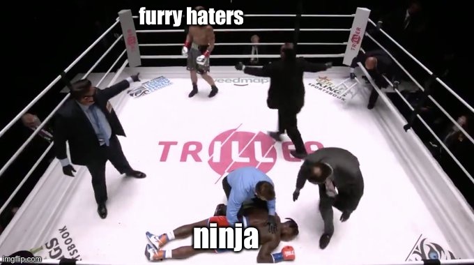 knockout | furry haters; ninja | image tagged in knockout | made w/ Imgflip meme maker