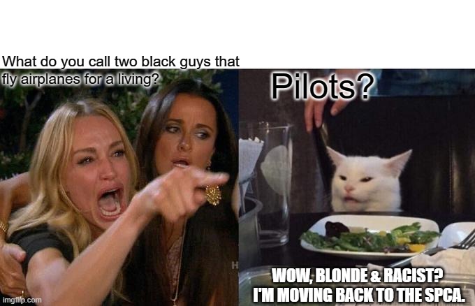 Woman Yelling At Cat Meme | What do you call two black guys that
fly airplanes for a living? Pilots? WOW, BLONDE & RACIST? 
I'M MOVING BACK TO THE SPCA. | image tagged in memes,woman yelling at cat | made w/ Imgflip meme maker