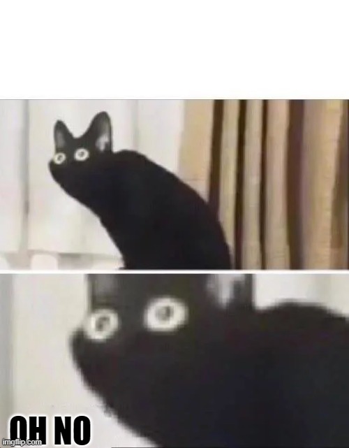 OH NO | image tagged in oh no black cat | made w/ Imgflip meme maker