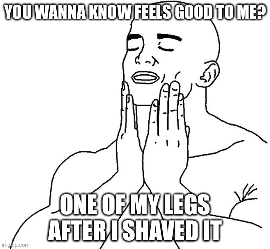 I just shaved my legs | YOU WANNA KNOW FEELS GOOD TO ME? ONE OF MY LEGS AFTER I SHAVED IT | image tagged in satisfaction | made w/ Imgflip meme maker