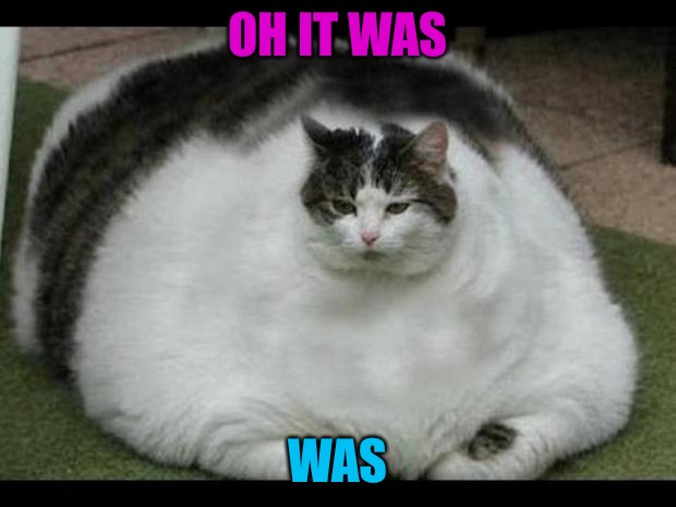 fat cat 2 | OH IT WAS WAS | image tagged in fat cat 2 | made w/ Imgflip meme maker