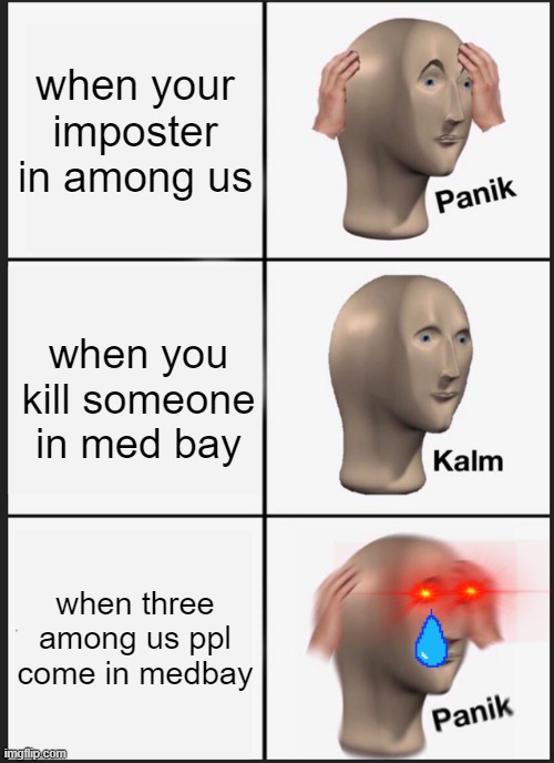 Why | when your imposter in among us; when you kill someone in med bay; when three among us ppl come in medbay | image tagged in memes,panik kalm panik | made w/ Imgflip meme maker