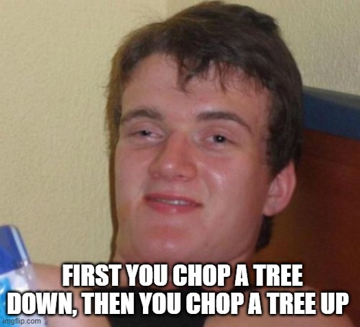 10 Guy Meme | FIRST YOU CHOP A TREE DOWN, THEN YOU CHOP A TREE UP | image tagged in memes,10 guy | made w/ Imgflip meme maker