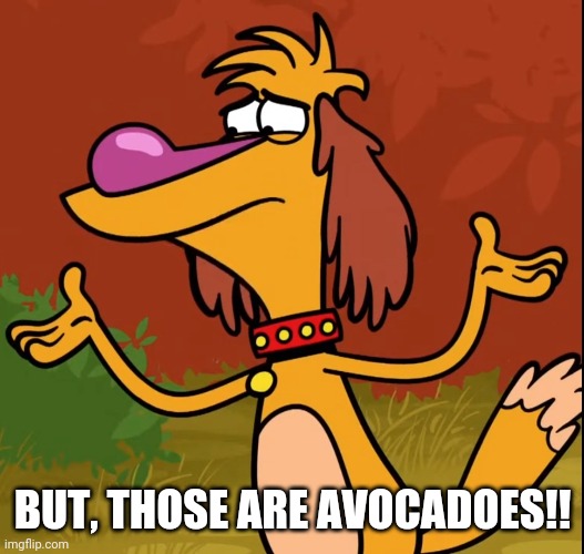 Confused Hal (Nature Cat) | BUT, THOSE ARE AVOCADOES!! | image tagged in confused hal nature cat | made w/ Imgflip meme maker