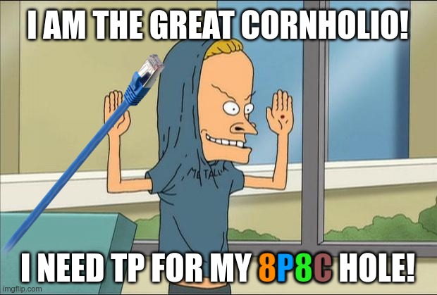 TP for my 8P8C hole | I AM THE GREAT CORNHOLIO! P; 8; 8; C; I NEED TP FOR MY 8P8C HOLE! | image tagged in beavis,cornholio,networkingmemes | made w/ Imgflip meme maker