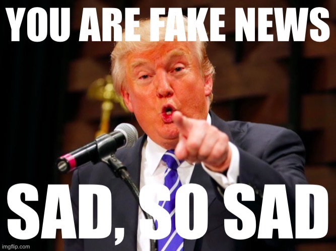 Donald trump you are fake news | image tagged in donald trump you are fake news | made w/ Imgflip meme maker