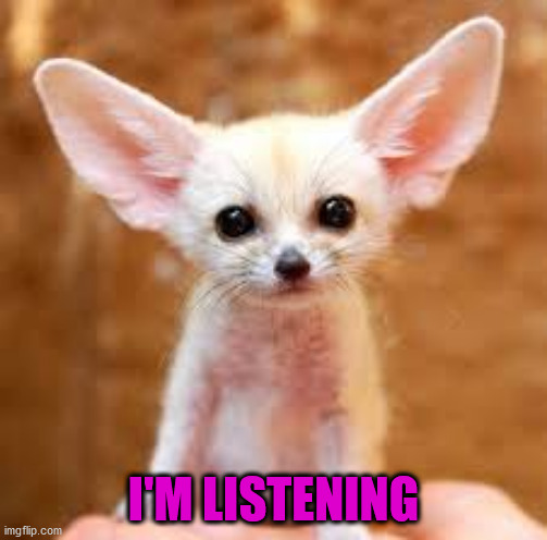 big ears | I'M LISTENING | image tagged in big ears | made w/ Imgflip meme maker