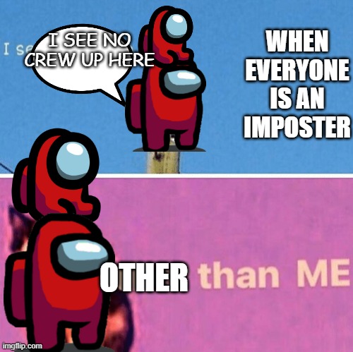 Hail pole cat | WHEN EVERYONE IS AN IMPOSTER; I SEE NO CREW UP HERE; OTHER | image tagged in hail pole cat | made w/ Imgflip meme maker