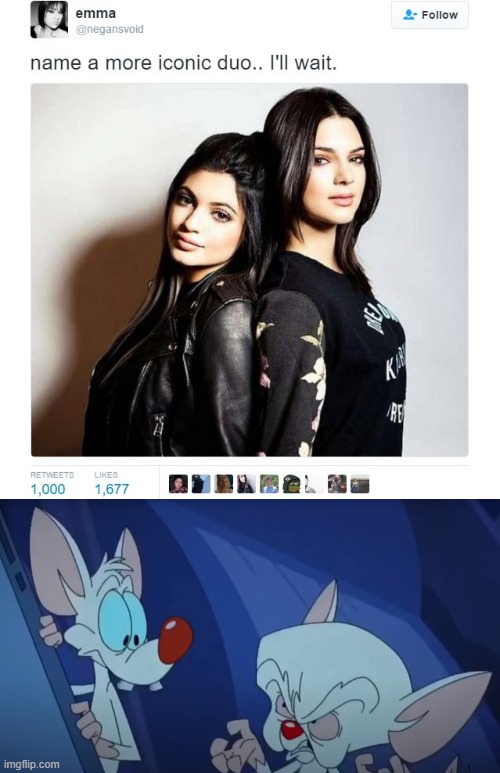 Iconic Duo | image tagged in name a more iconic duo,pinky and the brain,pinky,brain,animaniacs,i'll just wait here | made w/ Imgflip meme maker