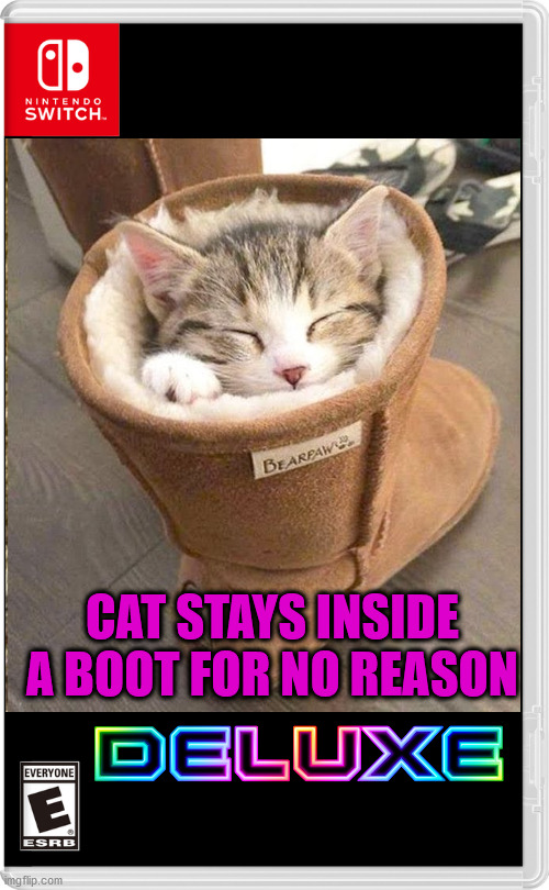 Cat stays inside a boot for no reason Deluxe costs $58796928793461965983456983426251464702135869 | CAT STAYS INSIDE A BOOT FOR NO REASON | image tagged in funny,cats,cute | made w/ Imgflip meme maker