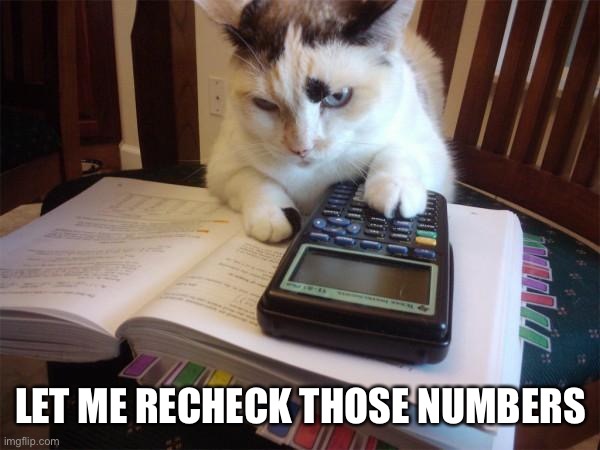 Math cat | LET ME RECHECK THOSE NUMBERS | image tagged in math cat | made w/ Imgflip meme maker