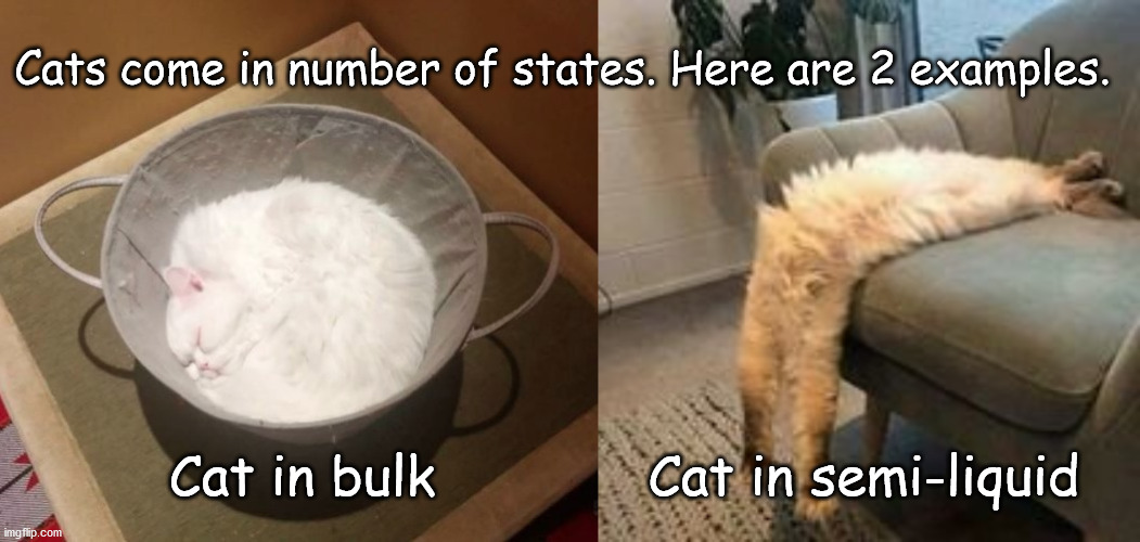 Cats' properties | Cats come in number of states. Here are 2 examples. Cat in bulk; Cat in semi-liquid | image tagged in cats | made w/ Imgflip meme maker