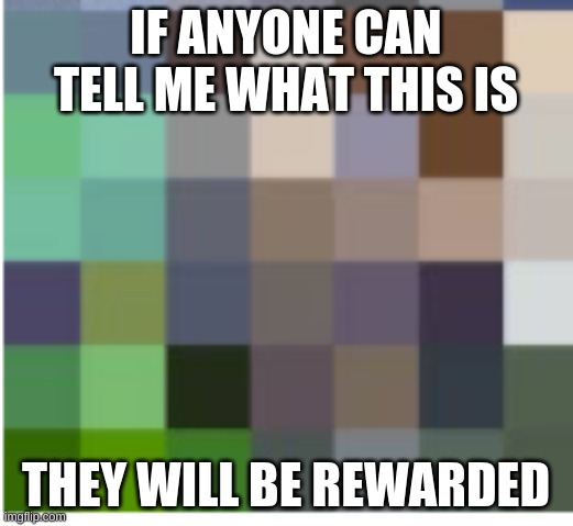 If anyone can tell me what this is: they will be rewarded! | IF ANYONE CAN TELL ME WHAT THIS IS; THEY WILL BE REWARDED | image tagged in pixel,fun,guess | made w/ Imgflip meme maker