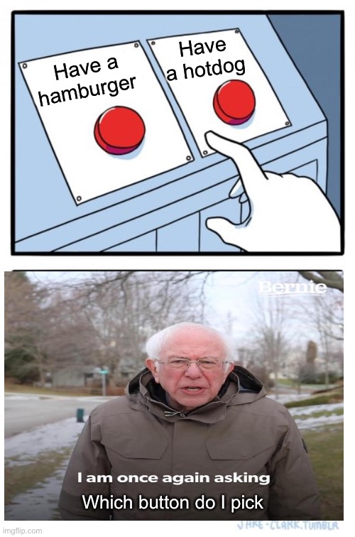 Which do I want a hamburger or a hotdog? | Have a hotdog; Have a hamburger; Which button do I pick | image tagged in memes,two buttons,food,bernie i am once again asking for your support | made w/ Imgflip meme maker