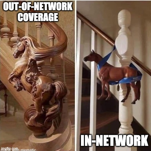 Insurance Coverage | OUT-OF-NETWORK COVERAGE; IN-NETWORK | image tagged in neurointegrativehealth | made w/ Imgflip meme maker