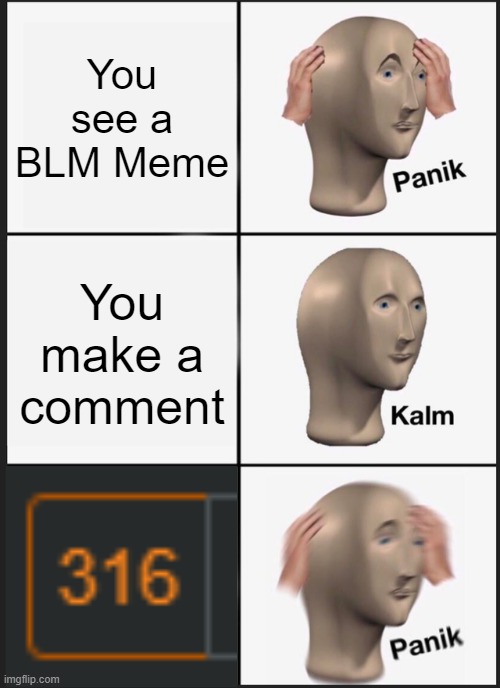 Moral of the Meme: Don't comment on a BLM meme. | You see a BLM Meme; You make a comment | image tagged in memes,panik kalm panik | made w/ Imgflip meme maker