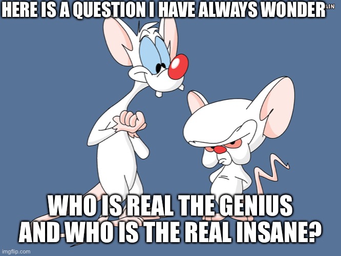 Pinky and the brain | HERE IS A QUESTION I HAVE ALWAYS WONDER; WHO IS REAL THE GENIUS AND WHO IS THE REAL INSANE? | image tagged in pinky and the brain,animaniacs | made w/ Imgflip meme maker