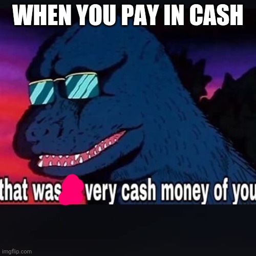 That wasnt very cash money of you | WHEN YOU PAY IN CASH | image tagged in that wasnt very cash money of you | made w/ Imgflip meme maker