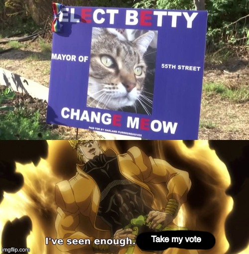 I'm in |  Take my vote | image tagged in i've seen enough i'm satisfied | made w/ Imgflip meme maker