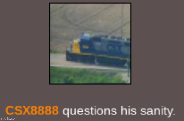 CSX8888 questions his sanity | image tagged in csx8888 questions his sanity | made w/ Imgflip meme maker