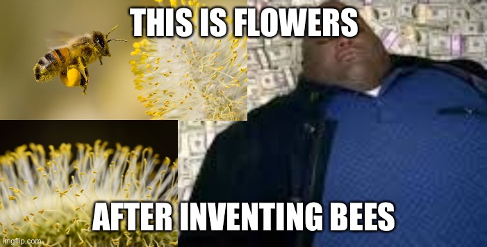 THIS IS FLOWERS; AFTER INVENTING BEES | image tagged in inventions | made w/ Imgflip meme maker