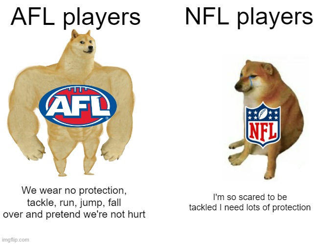 AFL vs NFL | AFL players; NFL players; We wear no protection, tackle, run, jump, fall over and pretend we're not hurt; I'm so scared to be tackled I need lots of protection | image tagged in memes,buff doge vs cheems,afl,nfl,nfl mees,afl memes | made w/ Imgflip meme maker