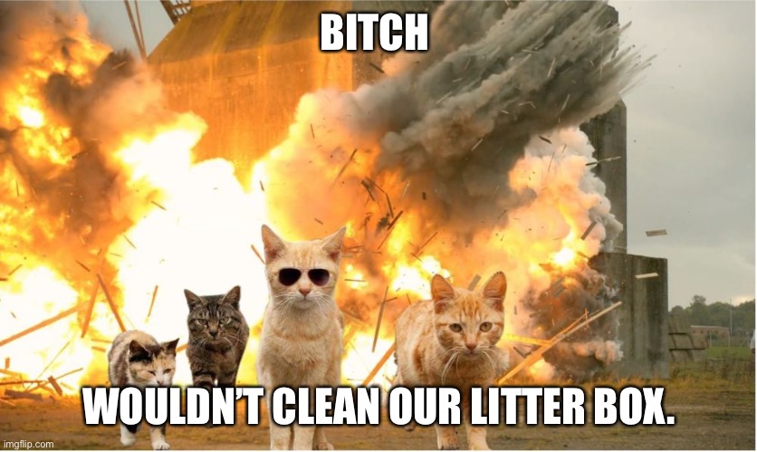 Cats walking away from explosion | BITCH; WOULDN’T CLEAN OUR LITTER BOX. | image tagged in cats walking away from explosion | made w/ Imgflip meme maker