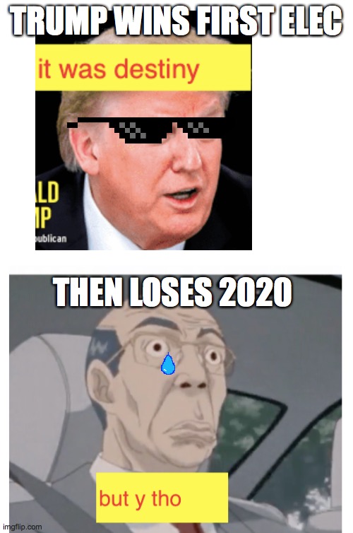 trump but true | TRUMP WINS FIRST ELEC; THEN LOSES 2020 | image tagged in donald trump | made w/ Imgflip meme maker