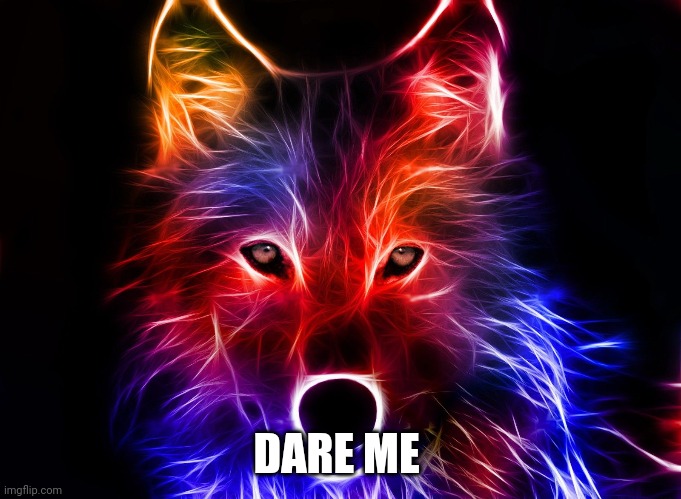 Wolf | DARE ME | image tagged in wolf | made w/ Imgflip meme maker