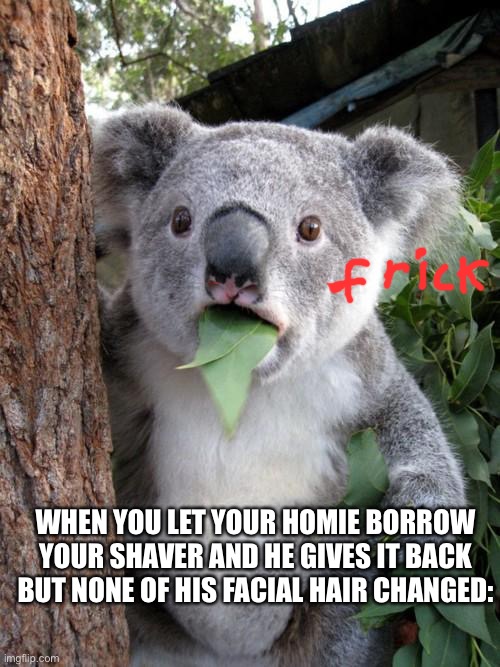 Surprised Koala | WHEN YOU LET YOUR HOMIE BORROW YOUR SHAVER AND HE GIVES IT BACK BUT NONE OF HIS FACIAL HAIR CHANGED: | image tagged in memes,surprised koala | made w/ Imgflip meme maker
