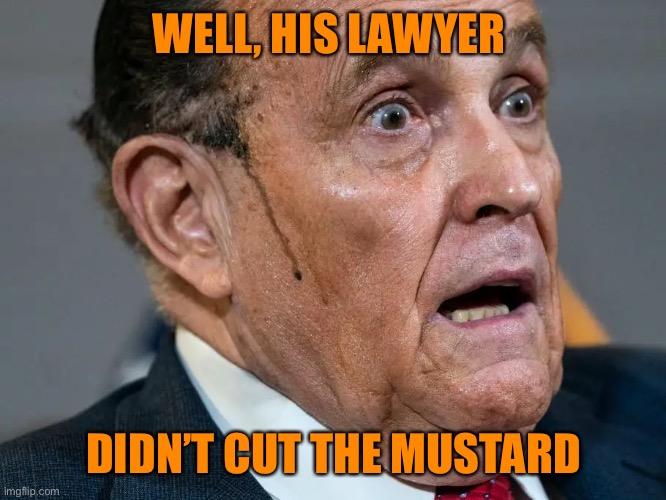 WELL, HIS LAWYER DIDN’T CUT THE MUSTARD | made w/ Imgflip meme maker