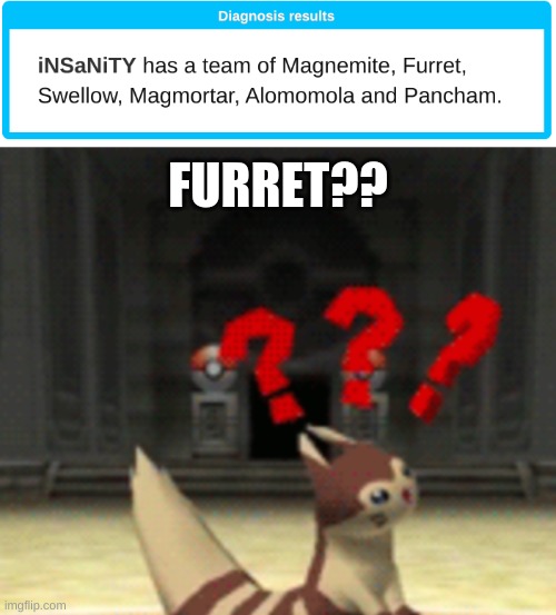 FURRET?? | image tagged in confused furret | made w/ Imgflip meme maker