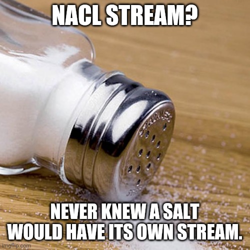 Sodium Chloride having its own stream... hooray. | NACL STREAM? NEVER KNEW A SALT WOULD HAVE ITS OWN STREAM. | image tagged in salt_can,salt,nacl | made w/ Imgflip meme maker