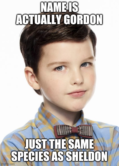 Just took 2 seasons to get around to telling us | NAME IS ACTUALLY GORDON; JUST THE SAME SPECIES AS SHELDON | image tagged in young sheldon,mandalorian,baby yoda | made w/ Imgflip meme maker