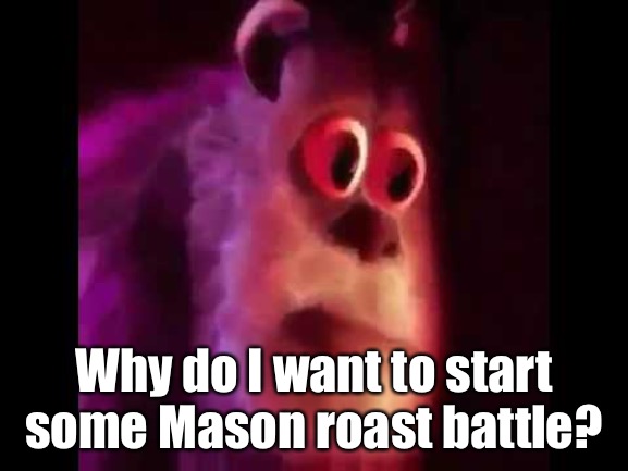 B r u h . | Why do I want to start some Mason roast battle? | image tagged in sully groan | made w/ Imgflip meme maker