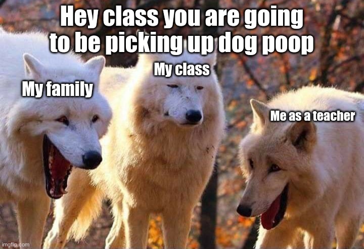 class time | Hey class you are going to be picking up dog poop; My class; My family; Me as a teacher | image tagged in laughing wolf,funny | made w/ Imgflip meme maker