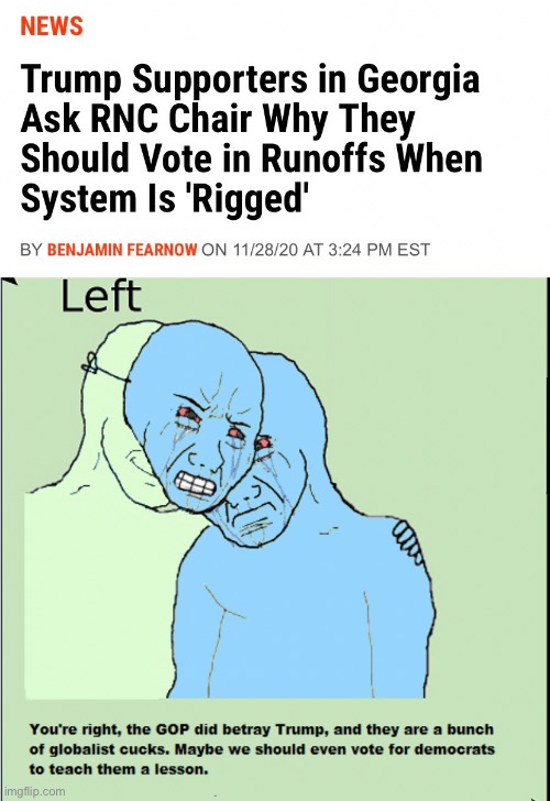 Wouldn’t it own the libs sooooo bad... if you just wrote in trump or voter democrat? | image tagged in own the libs,georgia runoff,republicans,democrats,voter fraud | made w/ Imgflip meme maker