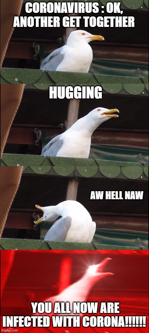 Inhaling Seagull | CORONAVIRUS : OK, ANOTHER GET TOGETHER; HUGGING; AW HELL NAW; YOU ALL NOW ARE INFECTED WITH CORONA!!!!!! | image tagged in memes,inhaling seagull | made w/ Imgflip meme maker