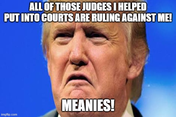 Donald trump crying | ALL OF THOSE JUDGES I HELPED PUT INTO COURTS ARE RULING AGAINST ME! MEANIES! | image tagged in donald trump crying | made w/ Imgflip meme maker